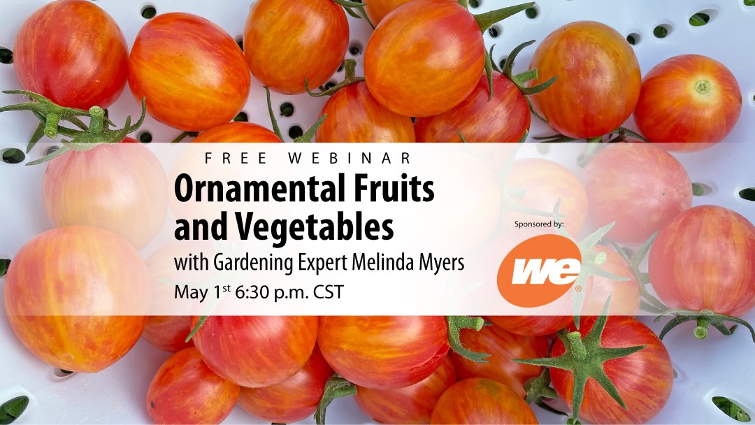 ORNAMENTAL FRUITS AND VEGETABLES webinar