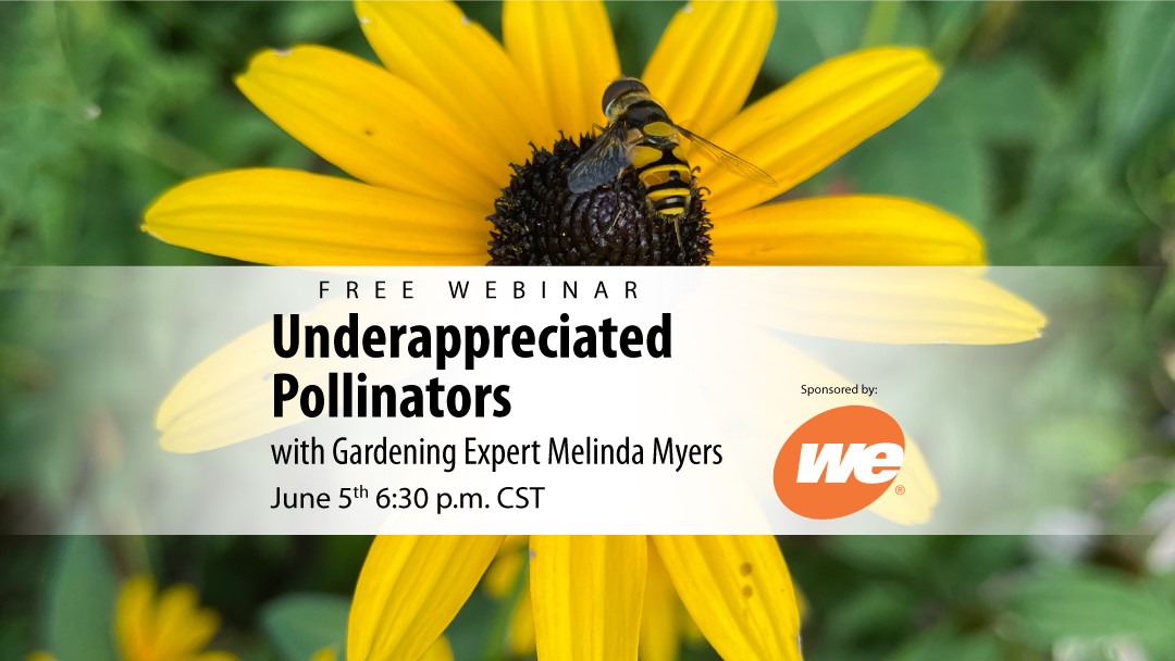 Under-appreciated pollinators