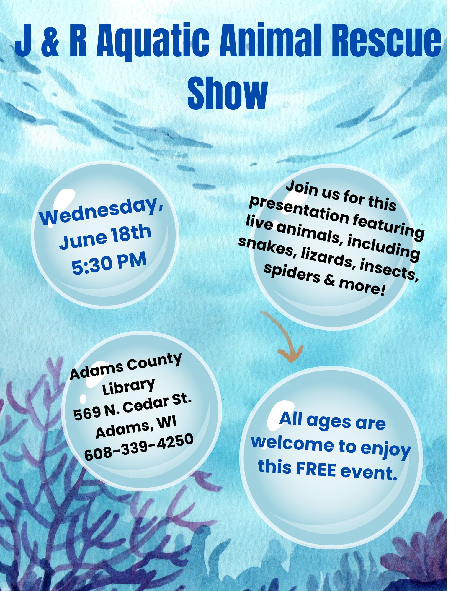 Summer Reading Program