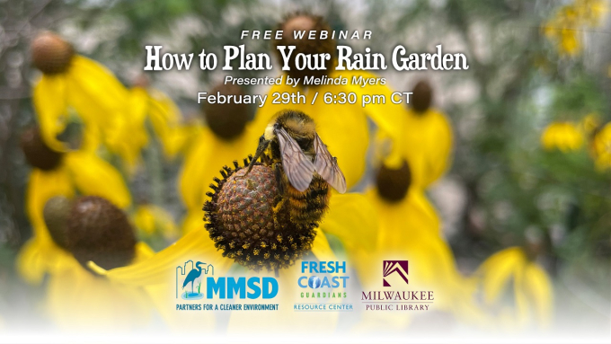 Rain Gardens with Melinda Myers Feb. 29 at 6:30 pm